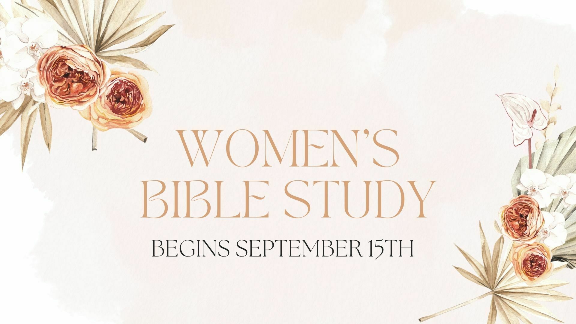 Women’s Bible Studies