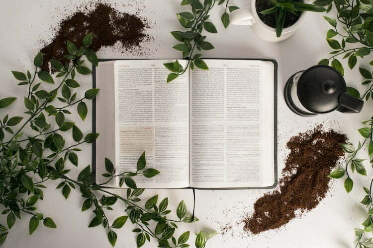Photo by Shelby Miller Holy Bible