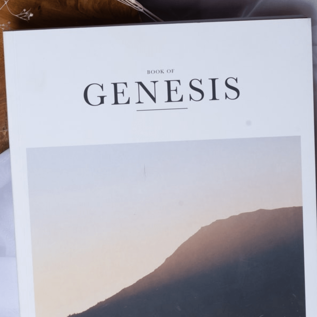 Genesis 2: Part 6