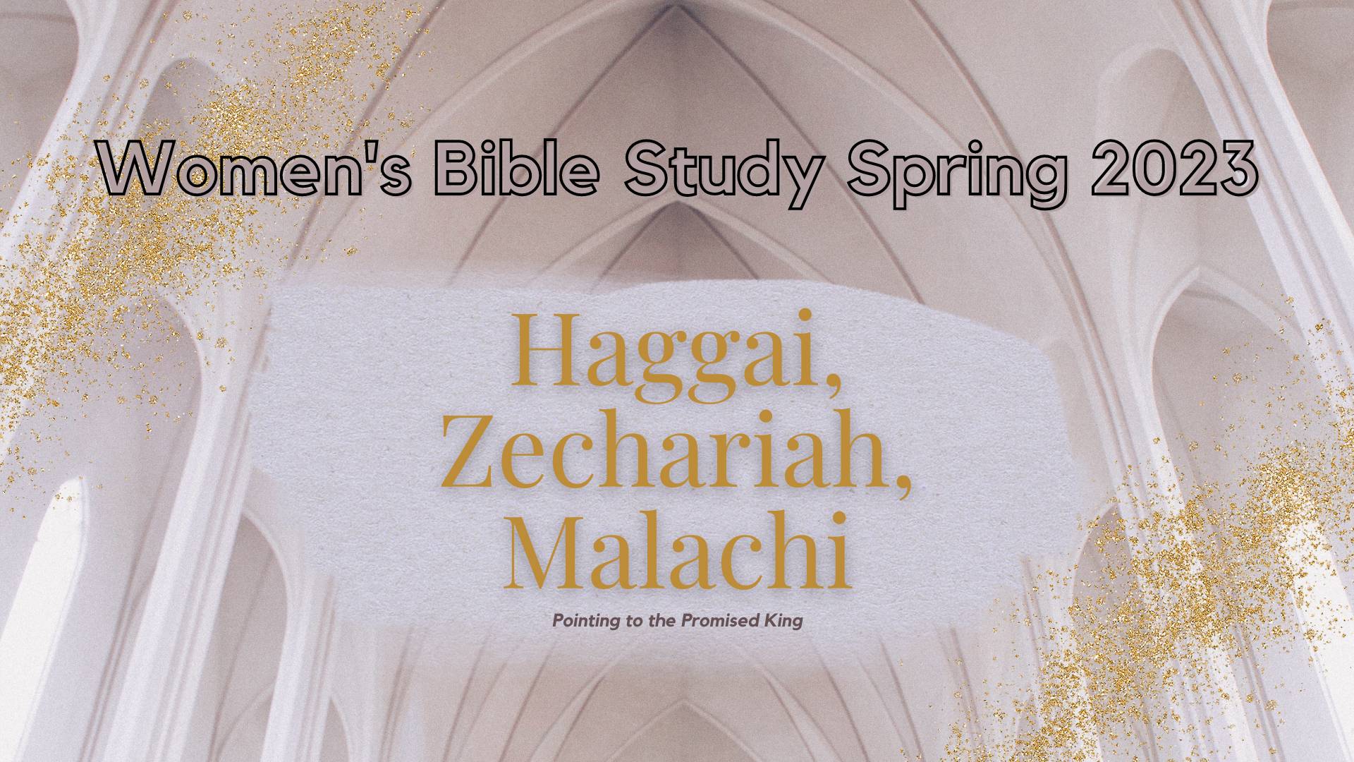 Women’s Ministry Large Group Study: What Do We Do With Our Disappointments? Final Study of Haggai, Zechariah, and Malachi.